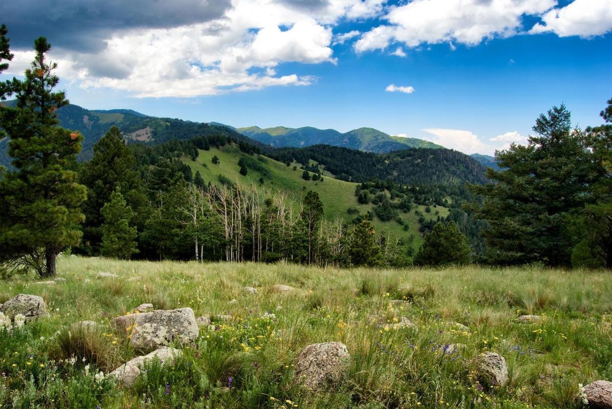 Perfect Cabin, 2 Bedrooms, Fireplace, Midtown, Sleeps 5 Ruidoso Ngoại thất bức ảnh