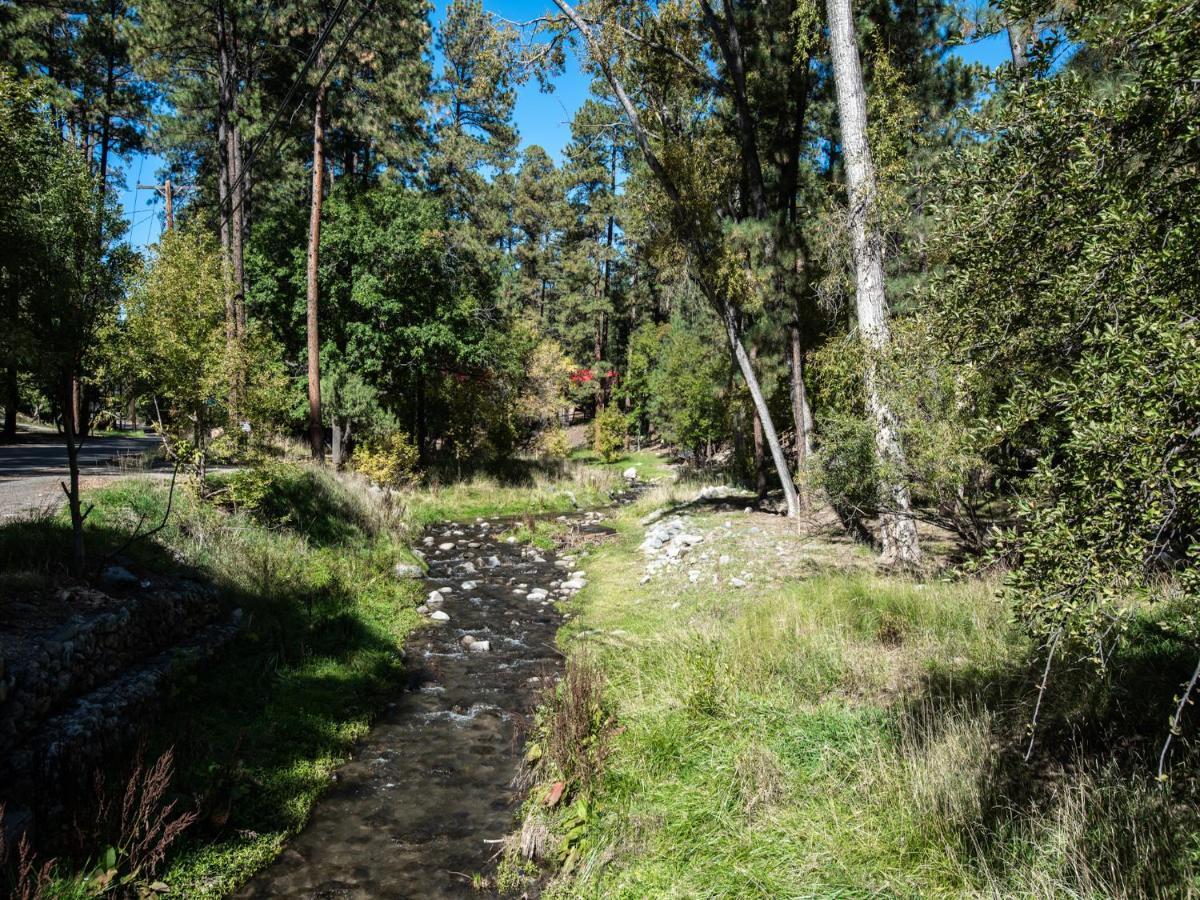 Perfect Cabin, 2 Bedrooms, Fireplace, Midtown, Sleeps 5 Ruidoso Ngoại thất bức ảnh